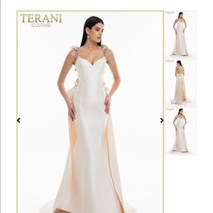Terani couture evening dress